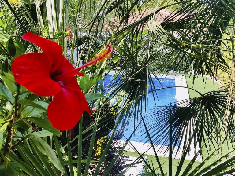 00013_MoreresProm_Piscina